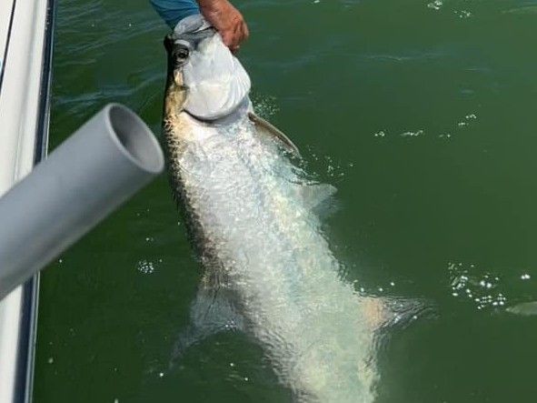 Trophy Tarpon Charter: Florida's Best Inshore Trip