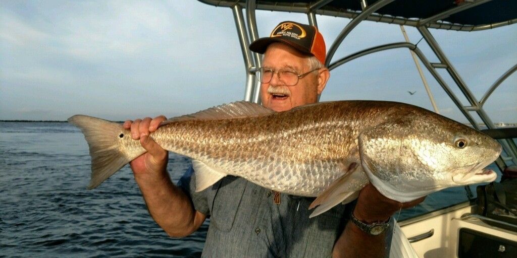 Advanced Half-Day Fishing Trip in Pensacola