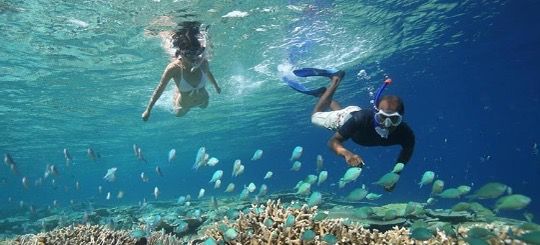 World-Class Snorkeling Trip with Fly To Fish