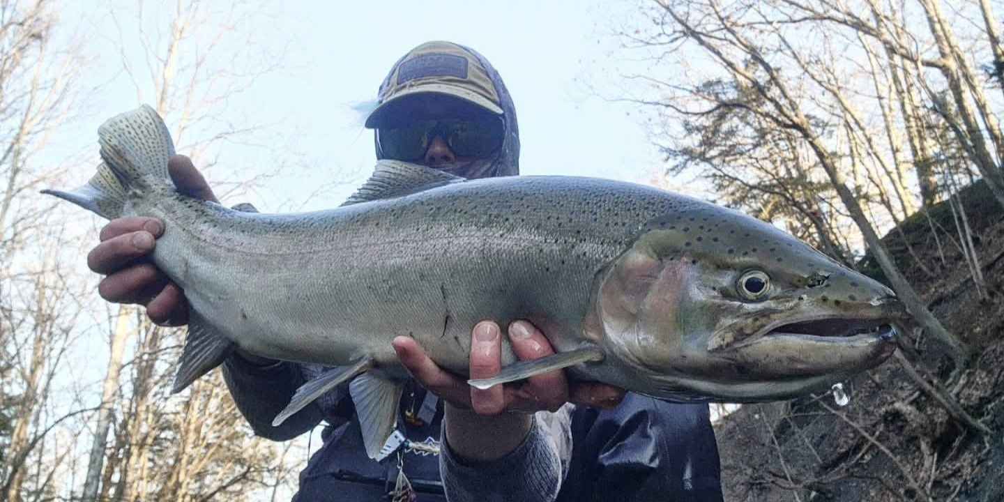 Learn Fly Fishing: Beginner-Friendly River Lessons