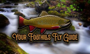 Your Foothills Fly Guide