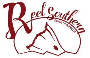 Reel Southern Fishing Charters