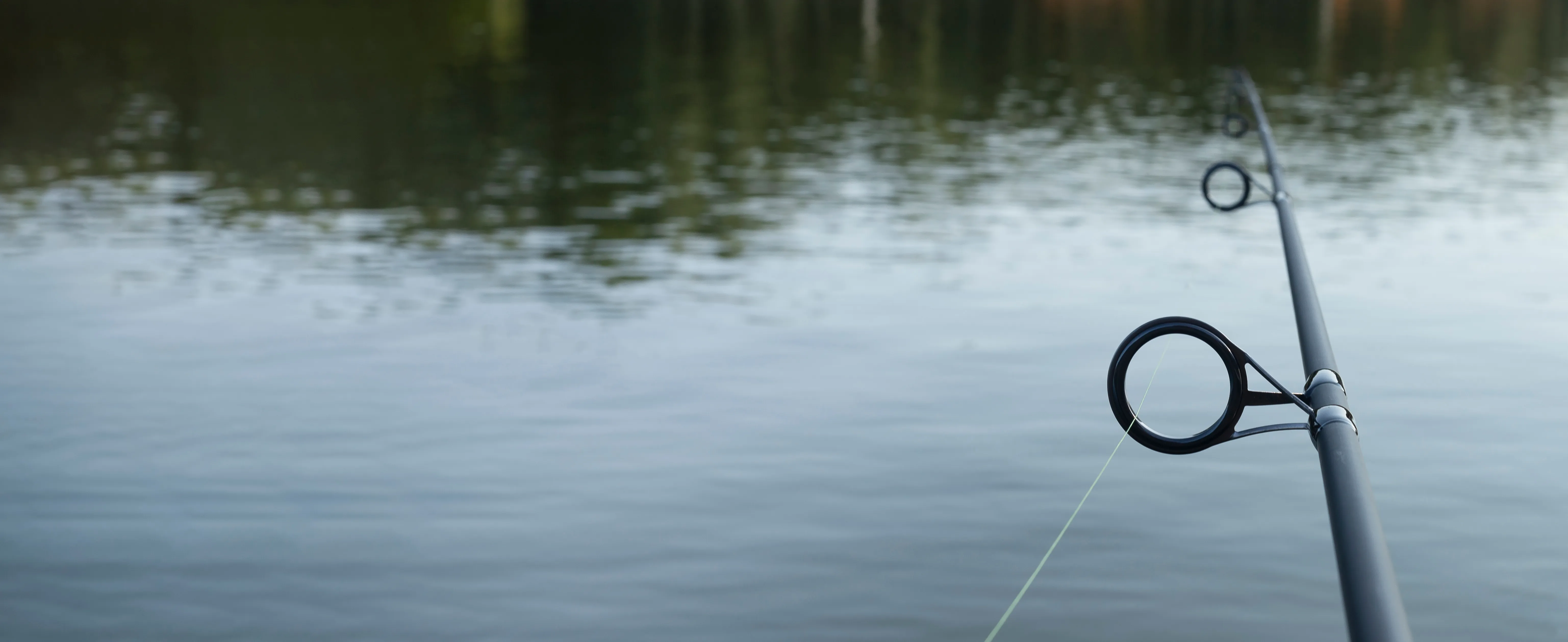 Footer Banner