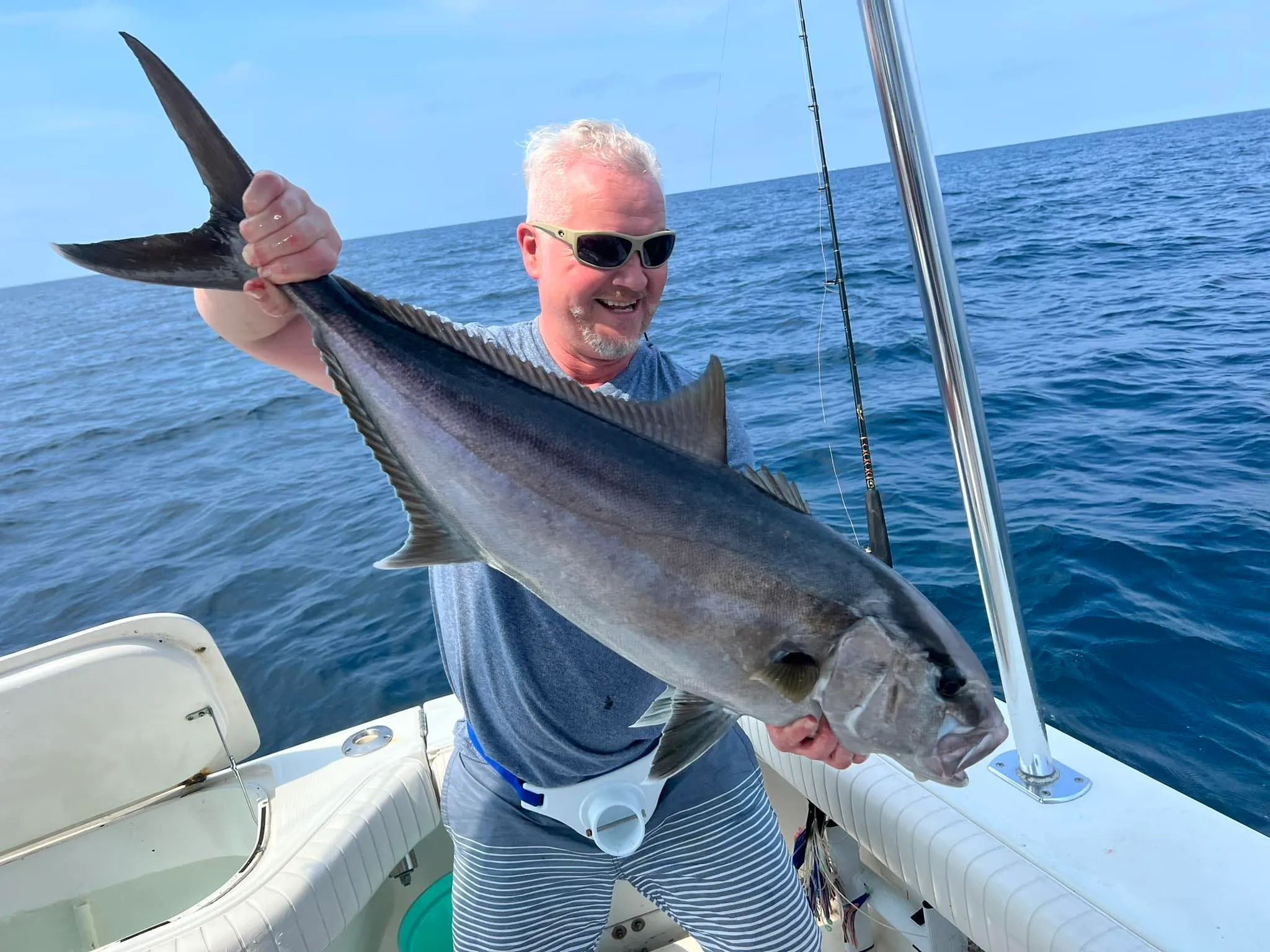 Amberjack