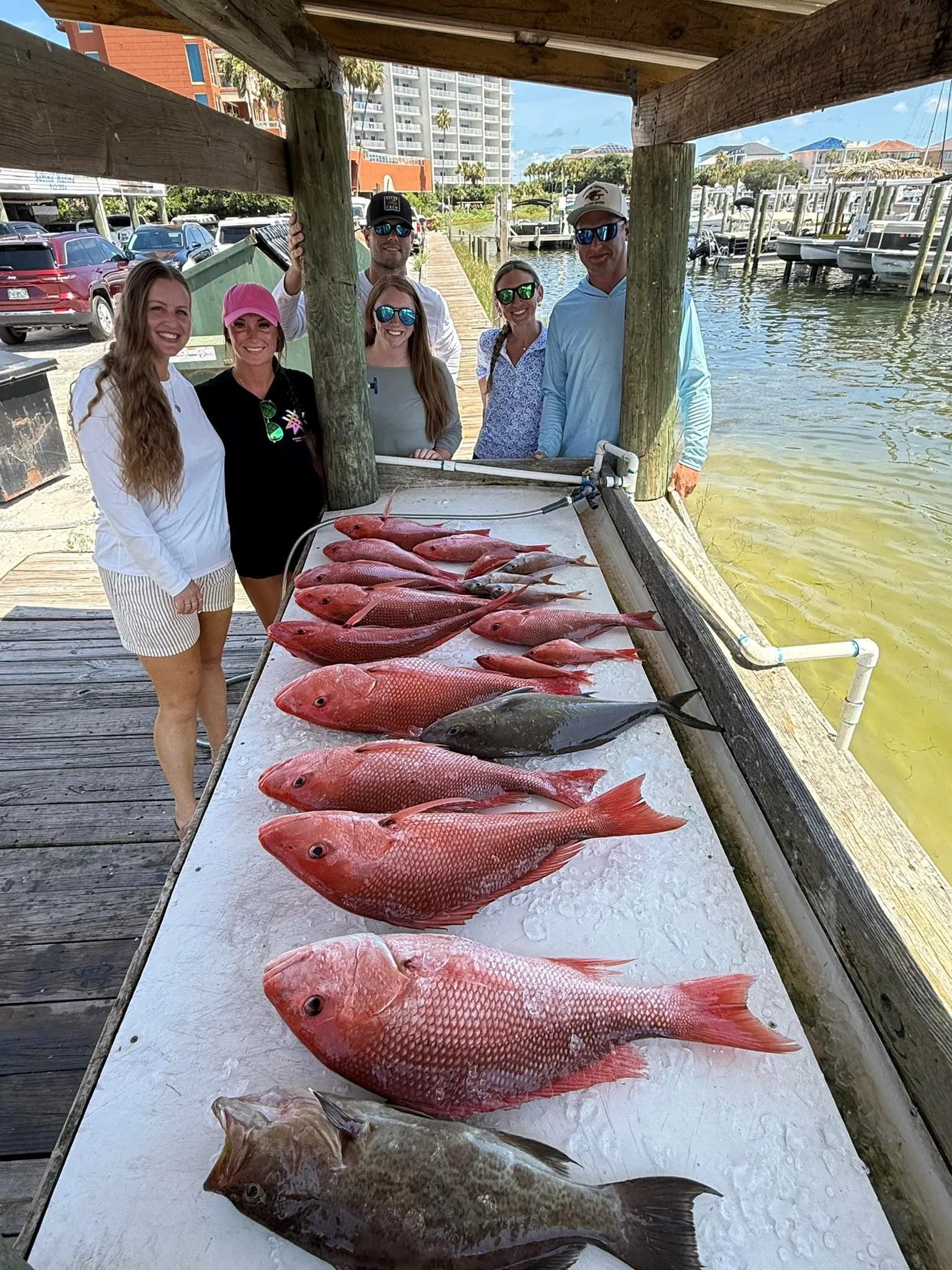 Snapper Grouper