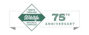 Fishing License