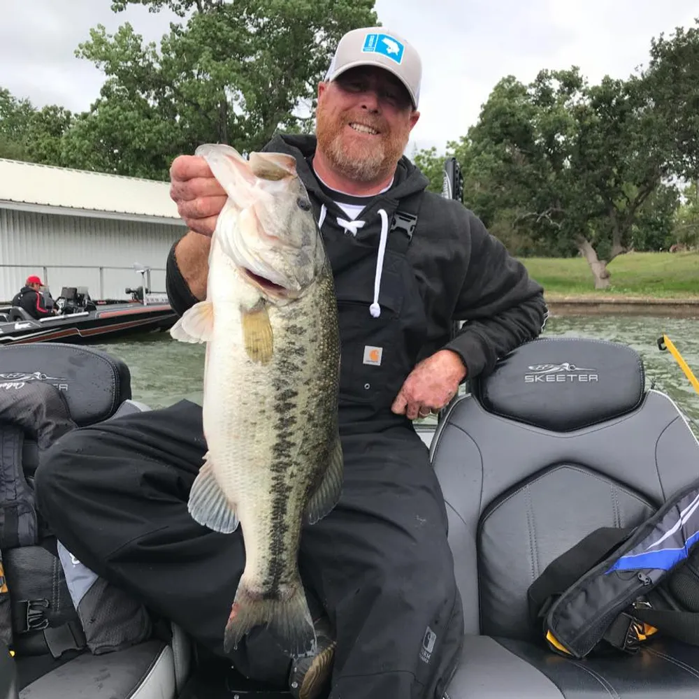 Randy Fesler