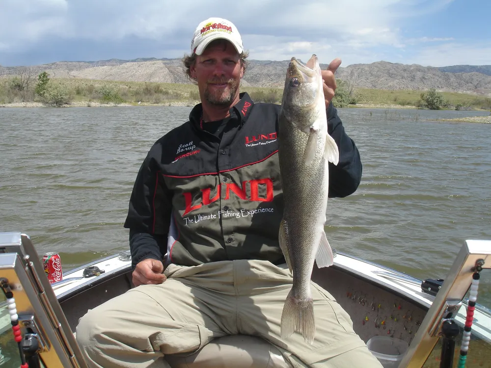 Scott Borup