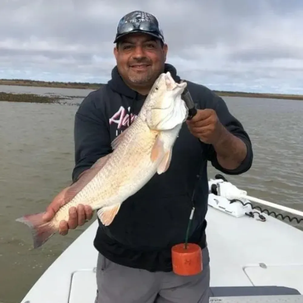 Joe Guerra