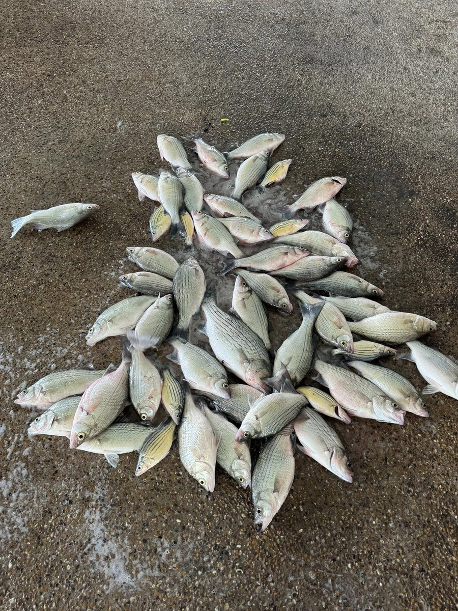 We’re Here For Your Next TRIP