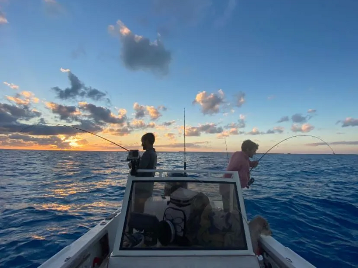 We’re Here For Your Next TRIP