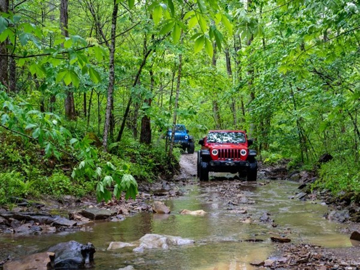 We’re Here For Your Next TRIP
