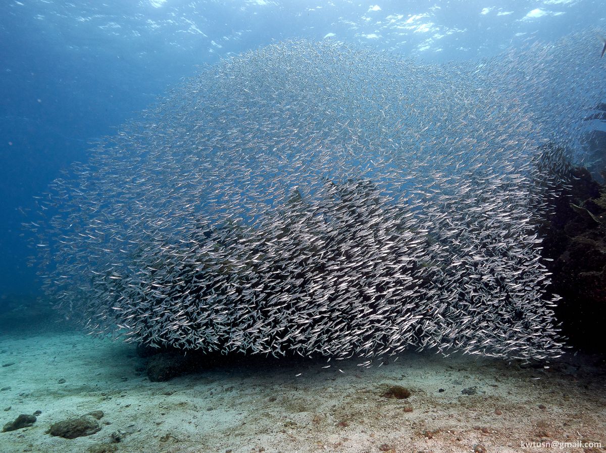 We’re Here For Your Next TRIP