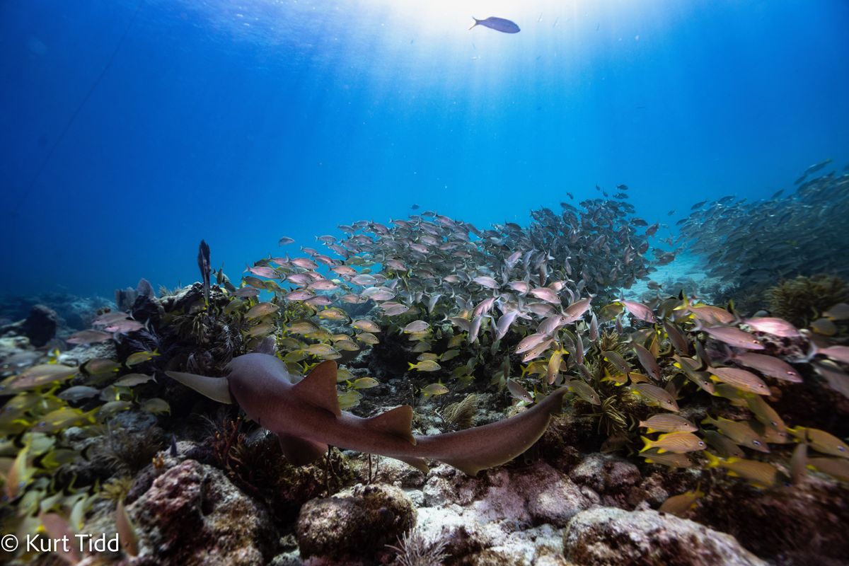 We’re Here For Your Next TRIP