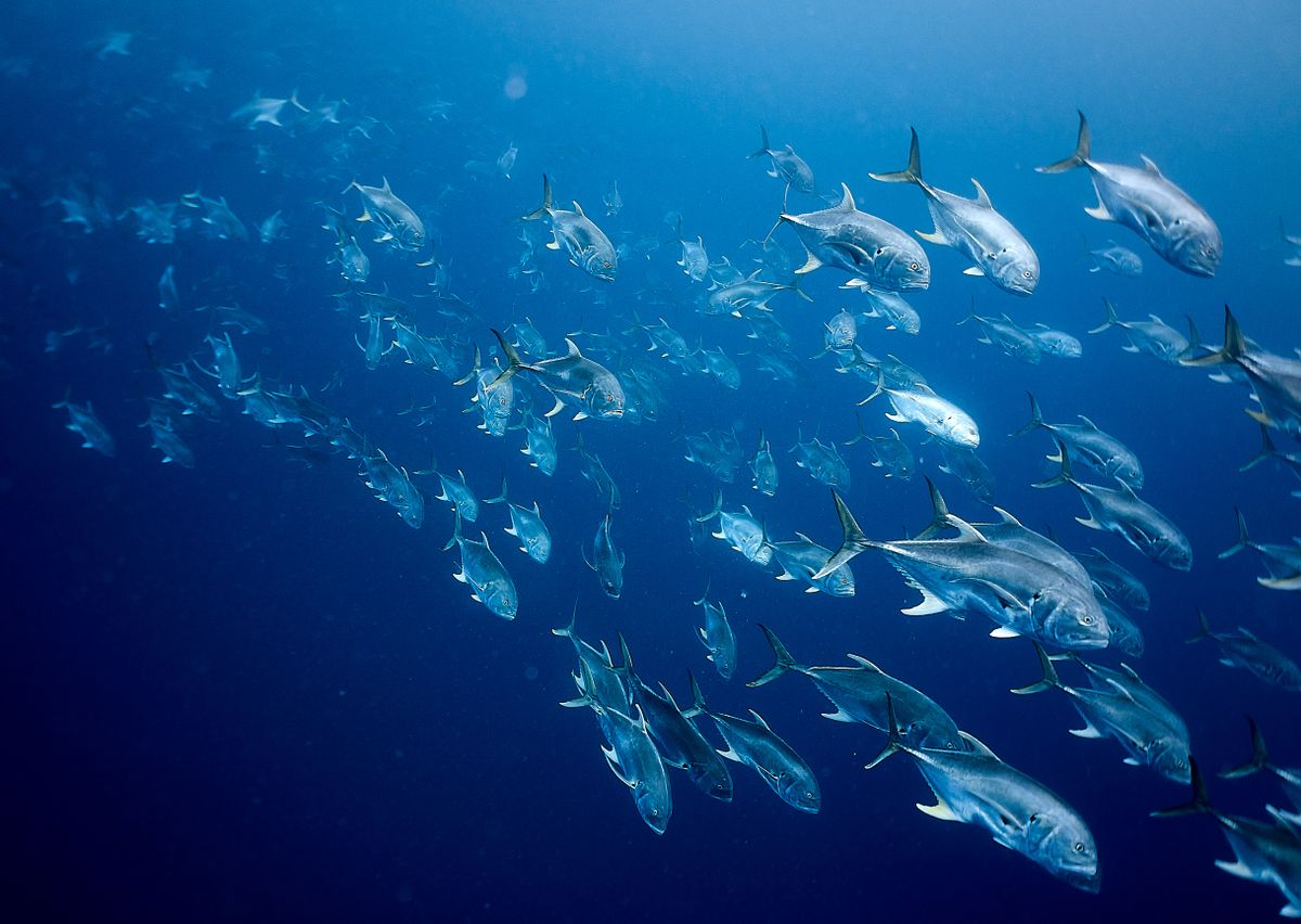 We’re Here For Your Next TRIP