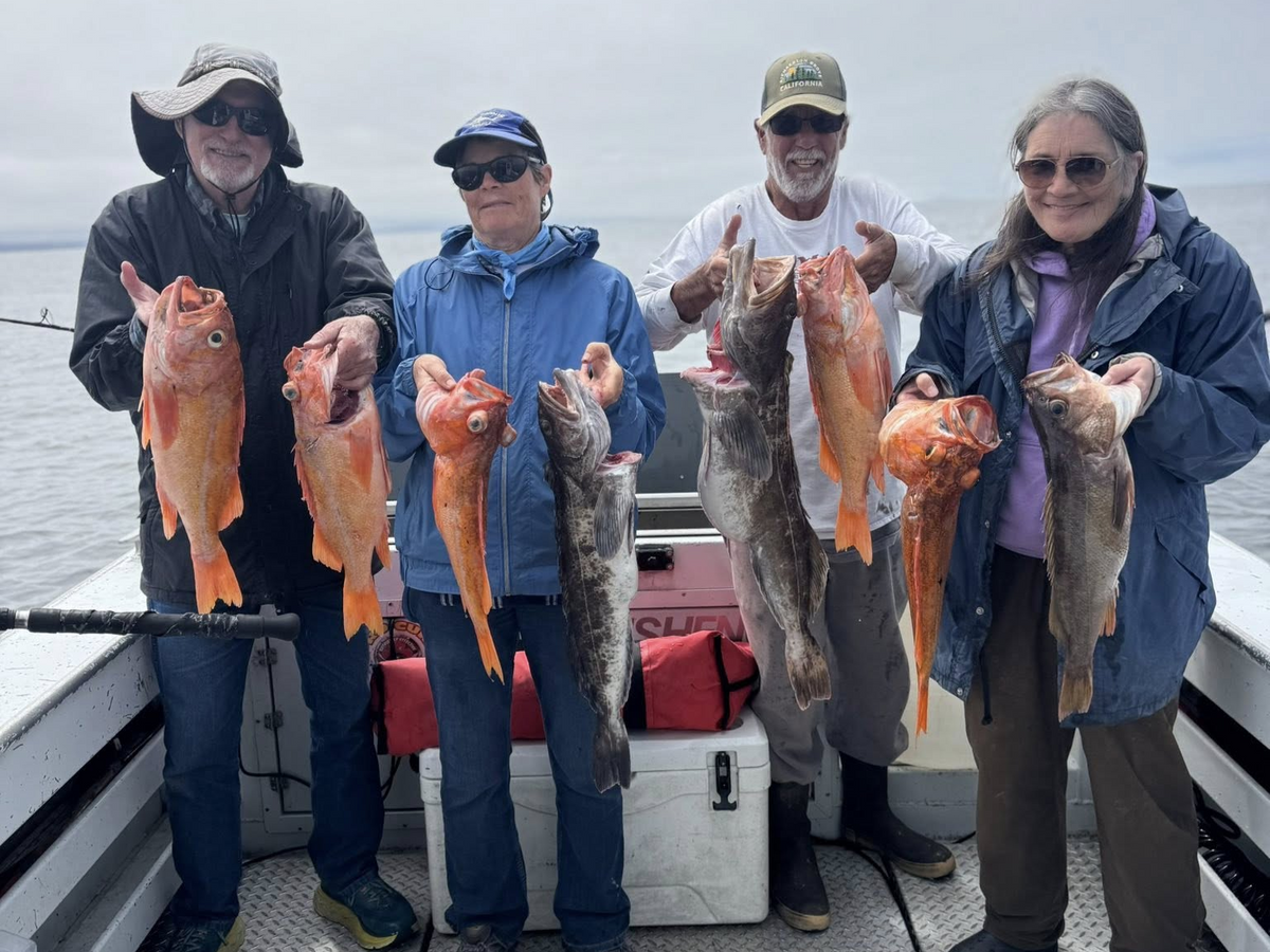 We’re Here For Your Next TRIP