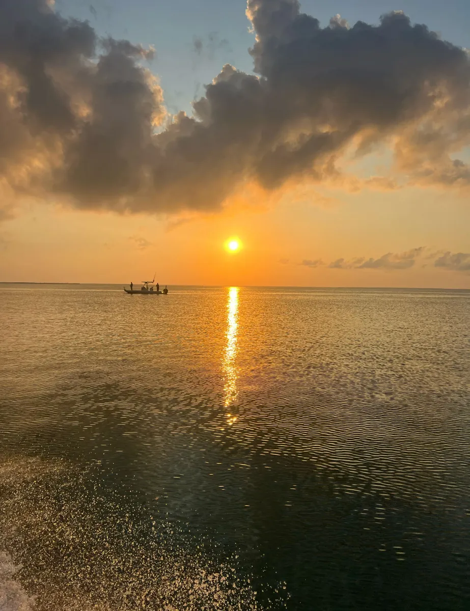 We’re Here For Your Next TRIP