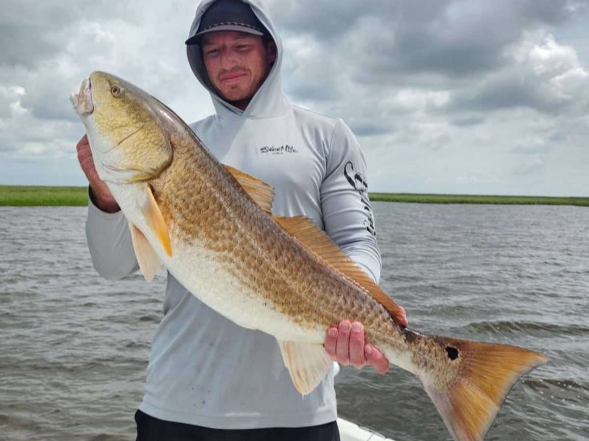 We’re Here For Your Next TRIP