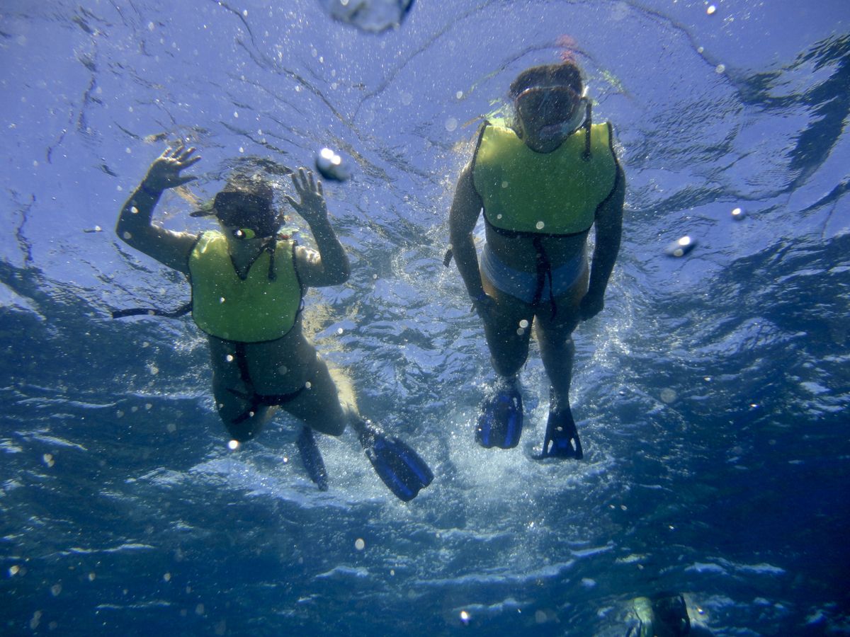 We’re Here For Your Next TRIP