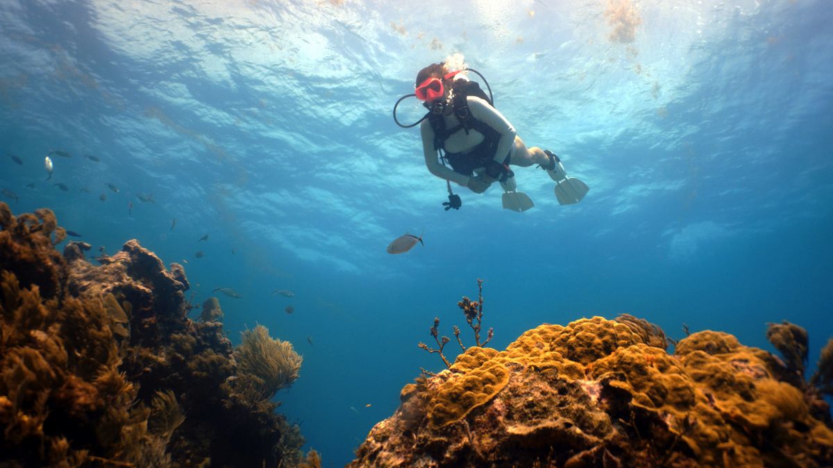 We’re Here For Your Next TRIP