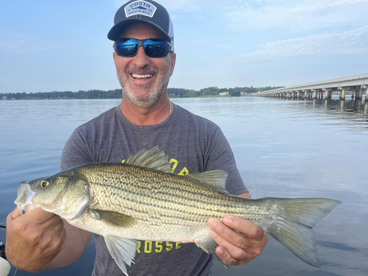 We’re Here For Your Next TRIP