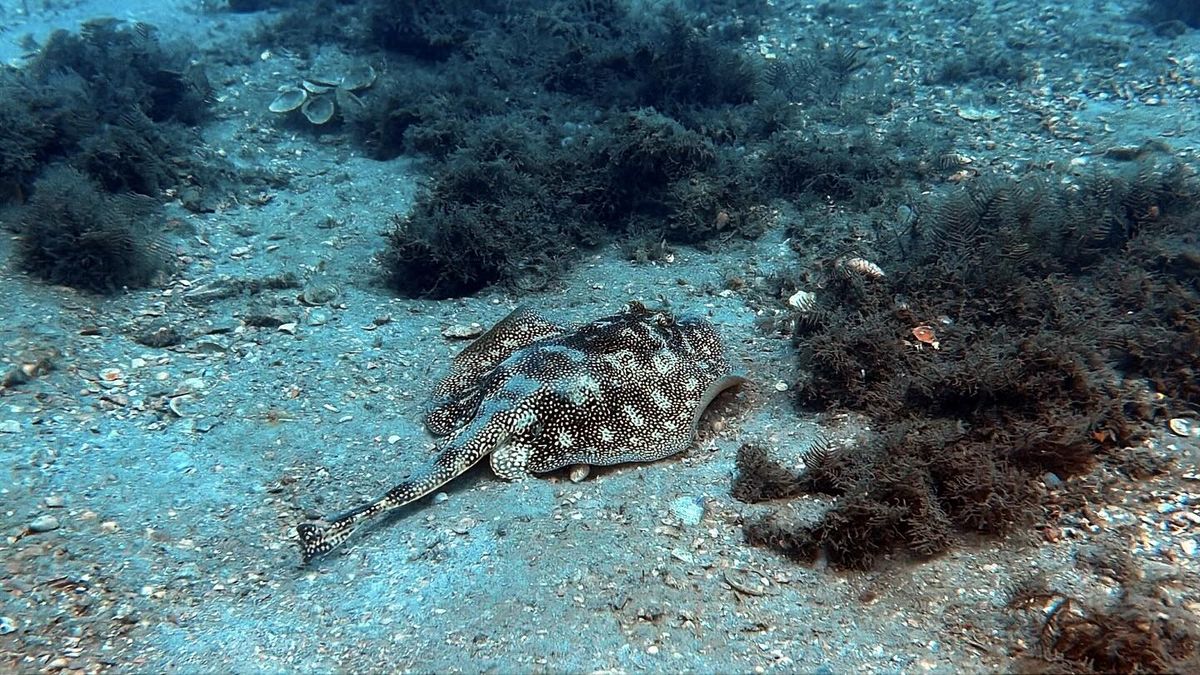 We’re Here For Your Next TRIP