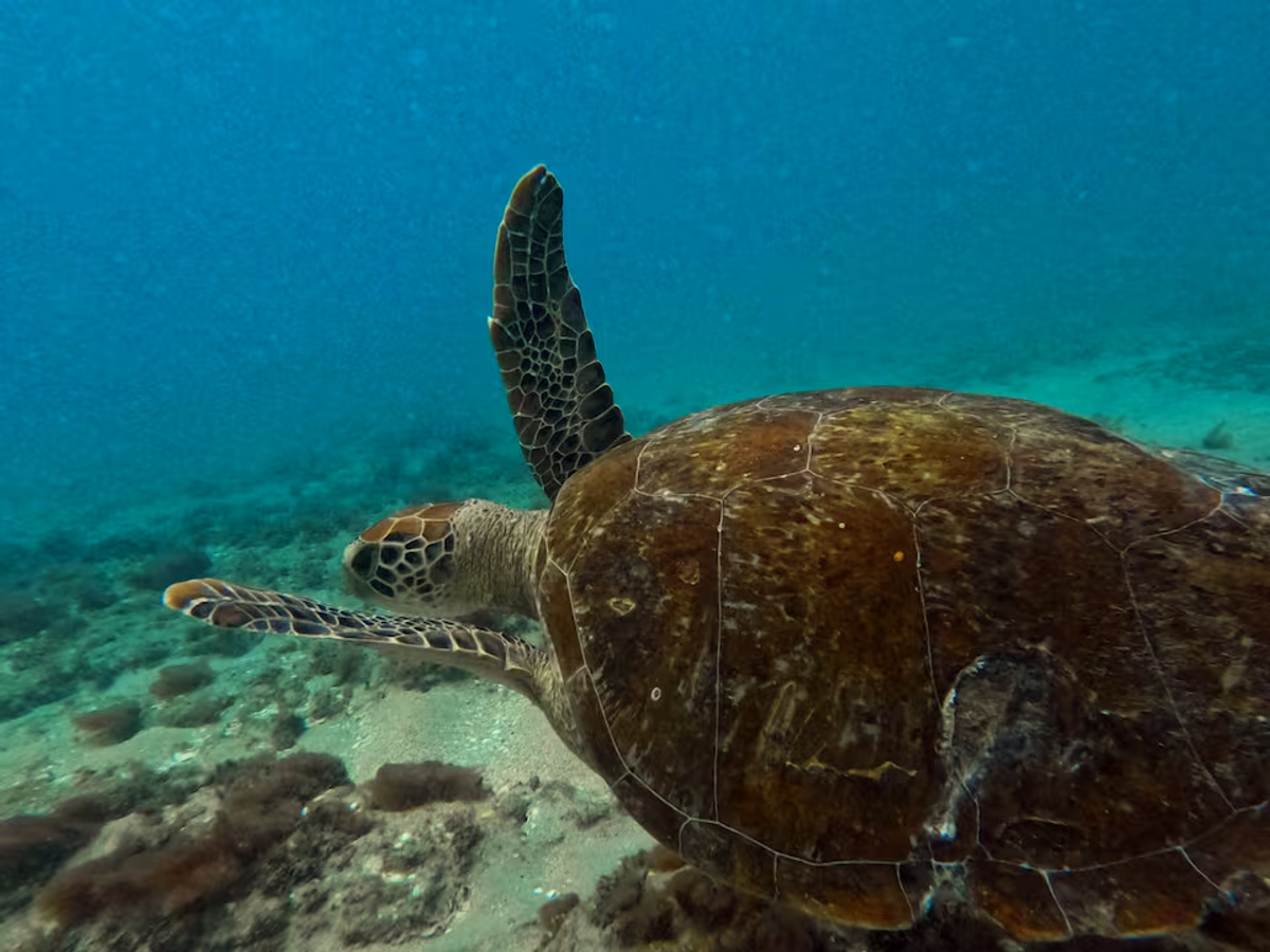 We’re Here For Your Next TRIP