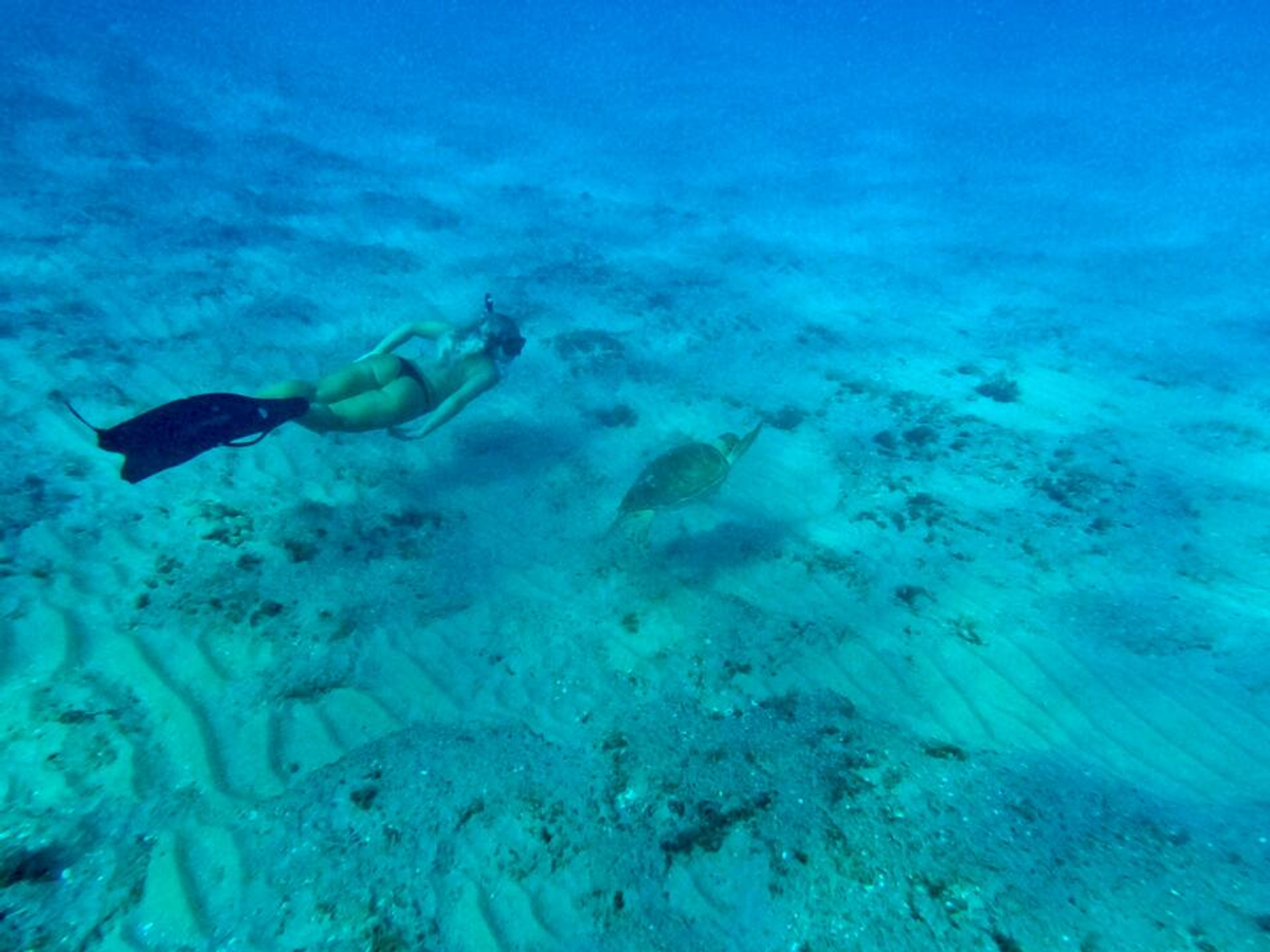 We’re Here For Your Next TRIP