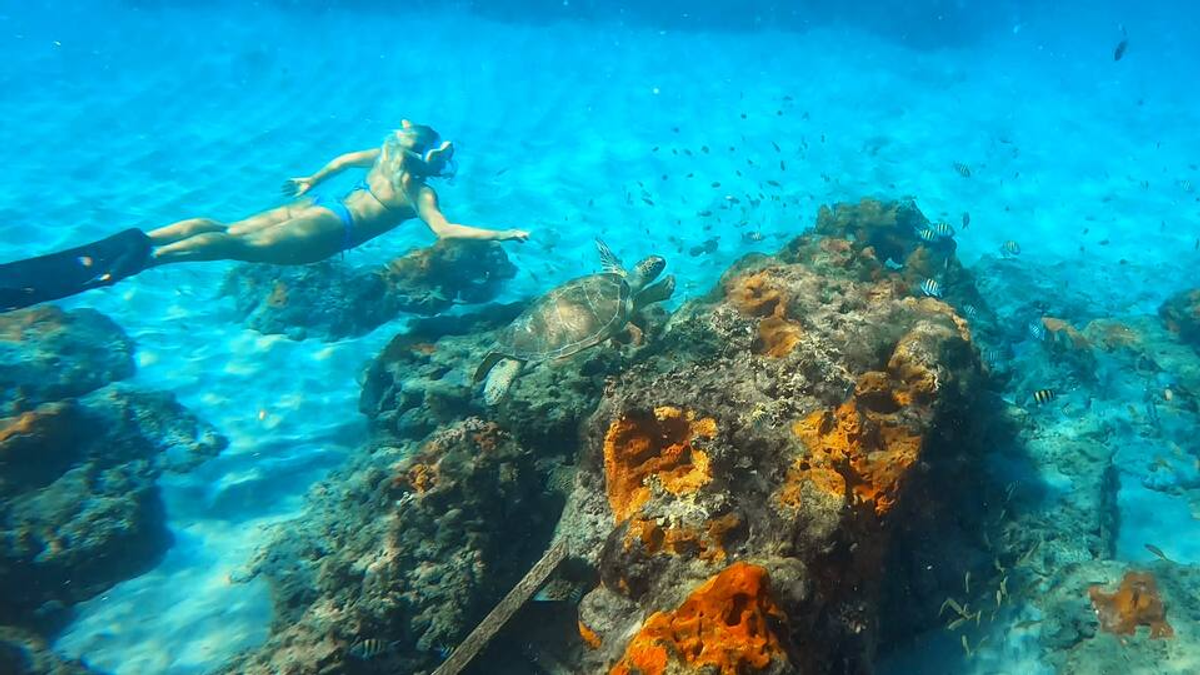 We’re Here For Your Next TRIP