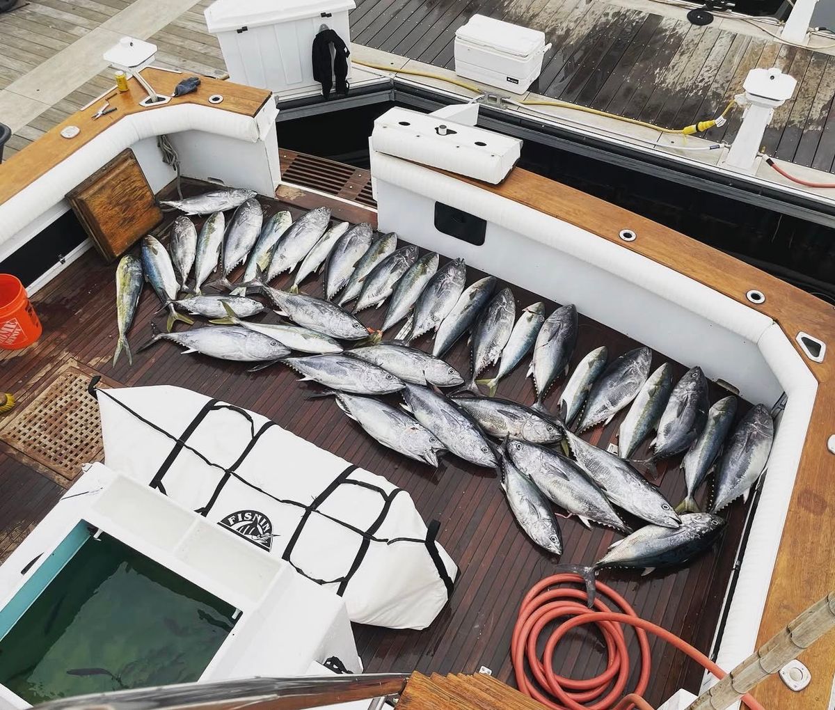 We’re Here For Your Next TRIP