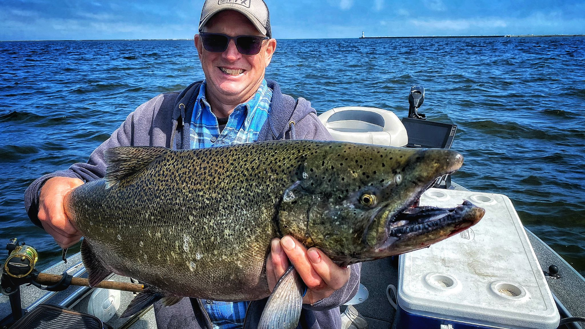 We’re Here For Your Next TRIP