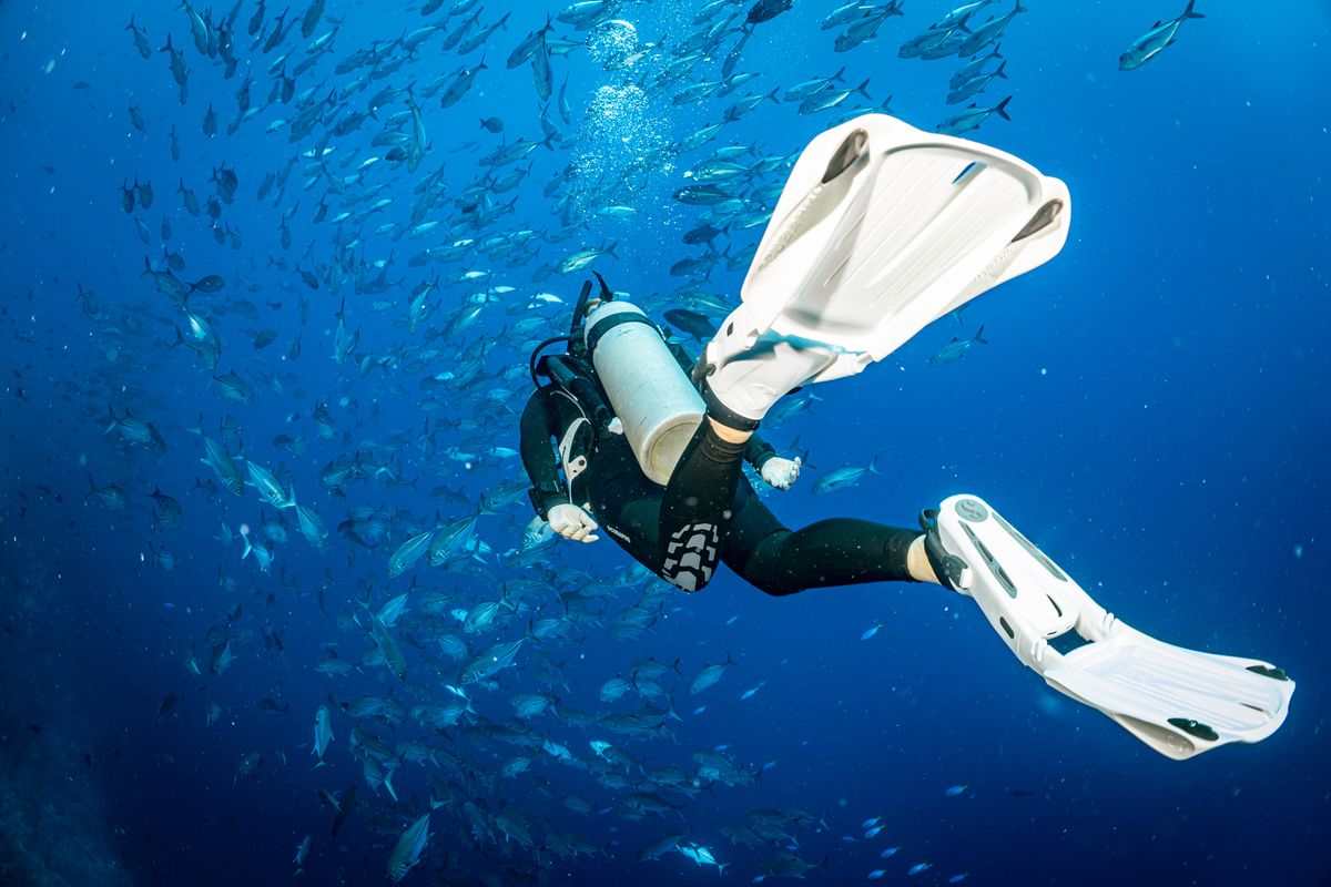 Multi Watersports Company Scuba  reports