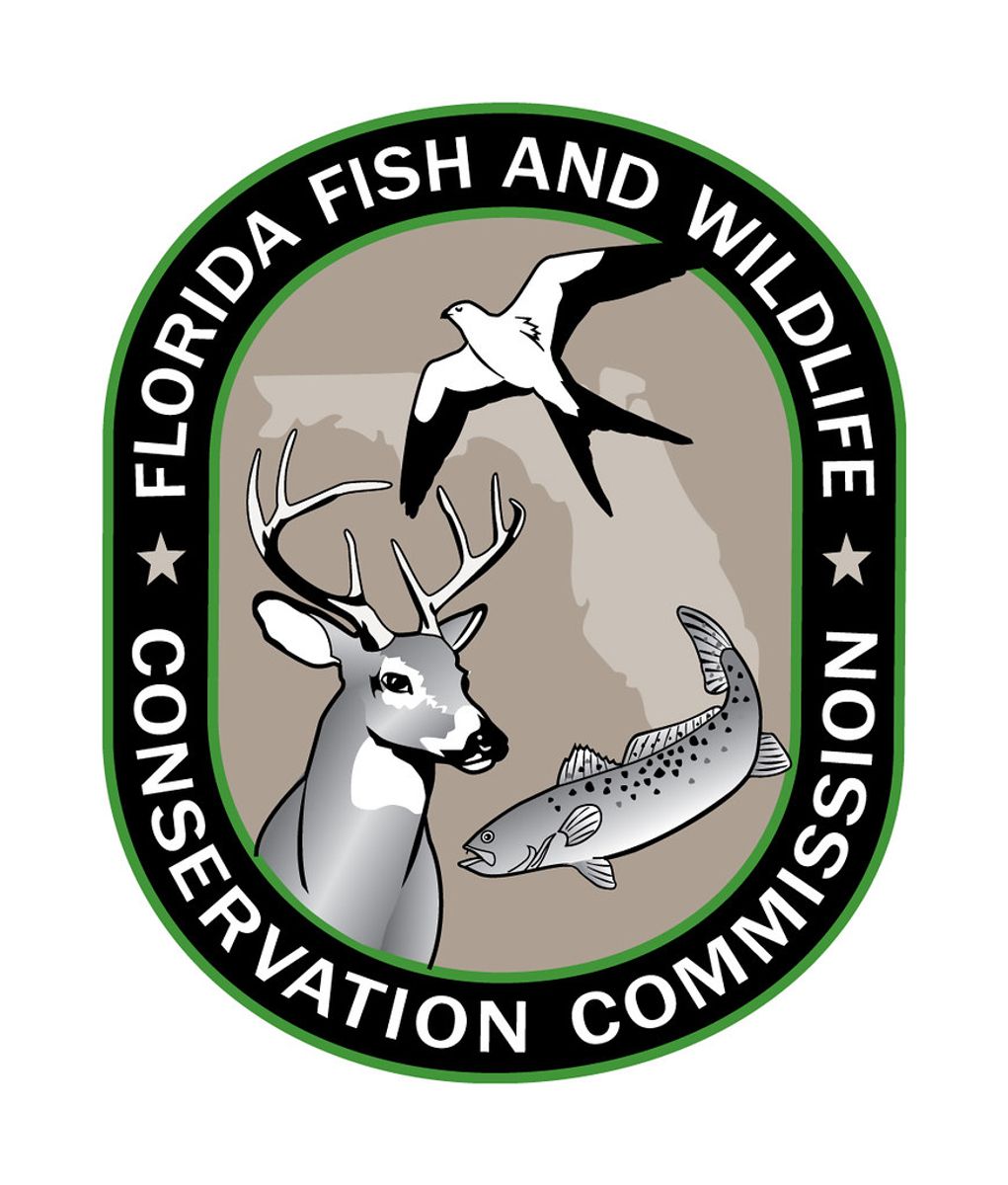 Florida Fishing License
