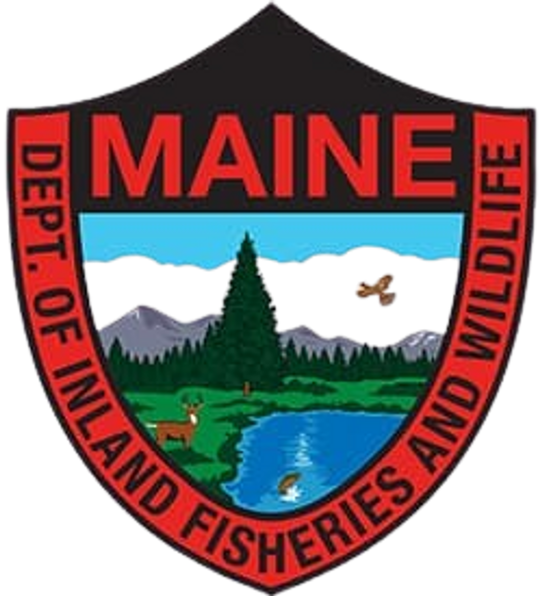 Maine Hunting License 