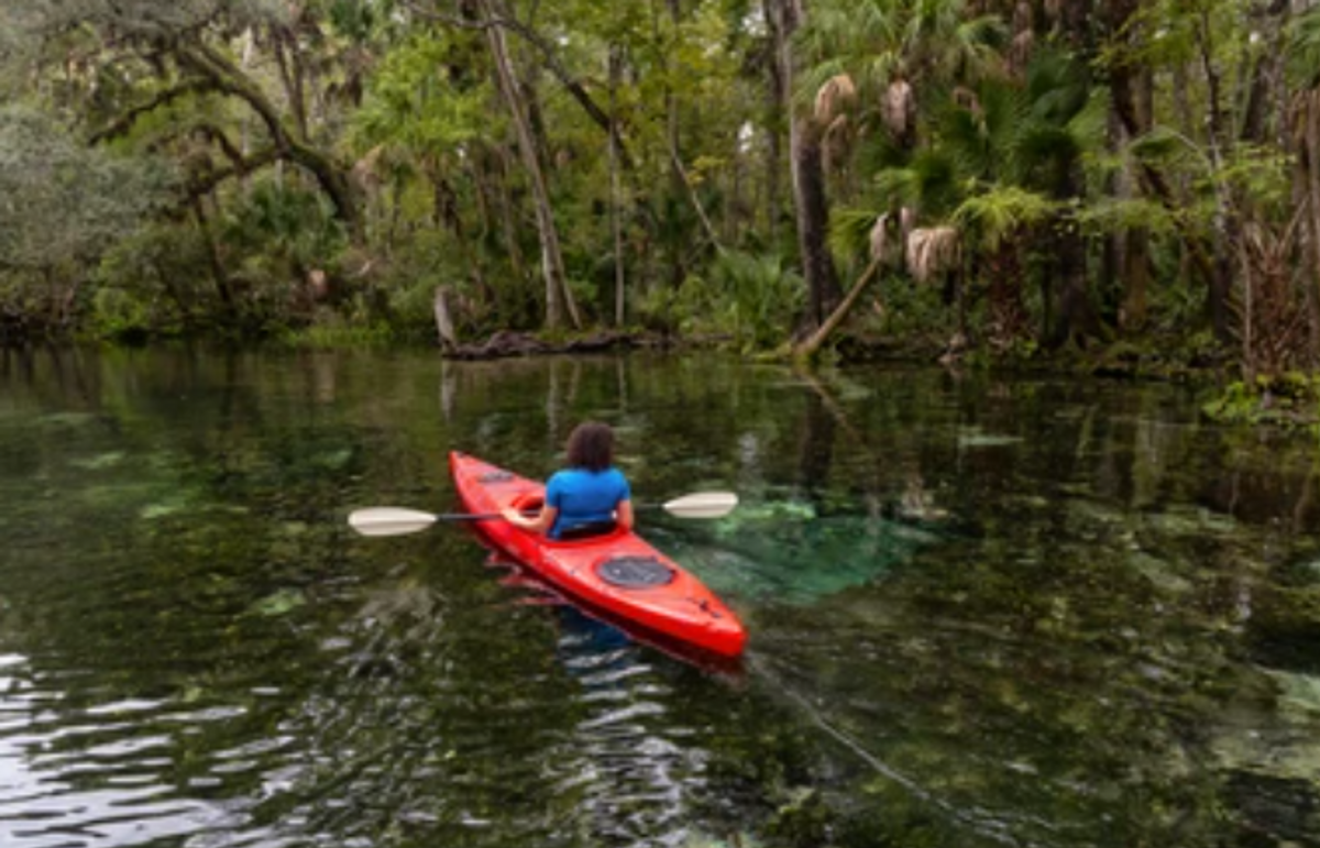 Things to Do in Chassahowitzka River