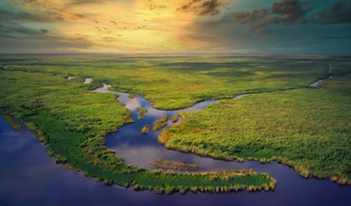 Things To Do In Everglades