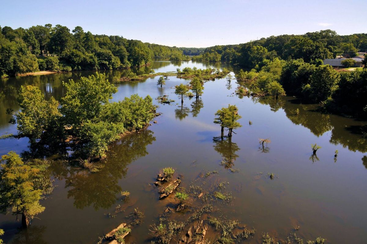Things To Do In Coosa River GA