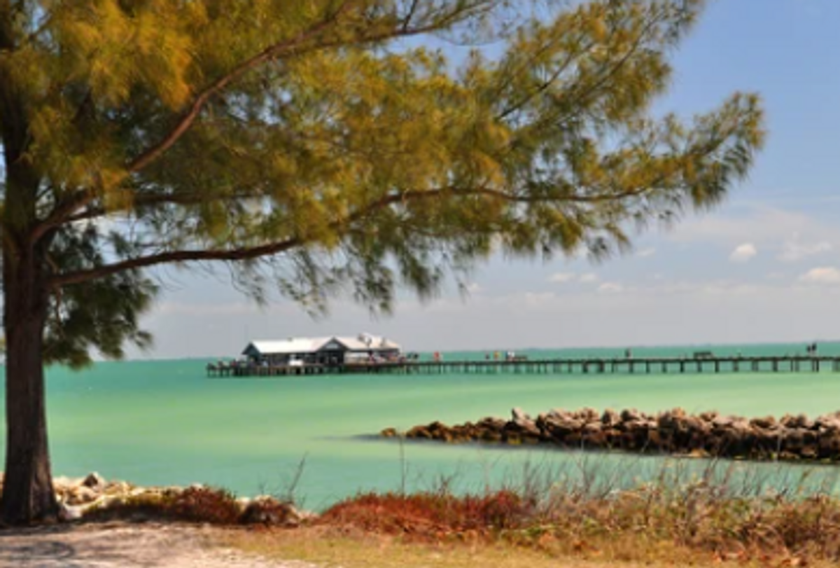 Things To Do In Anna Maria Island 