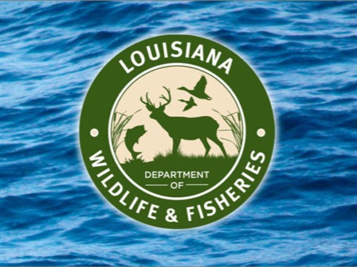 Get Your Valid Louisiana Fishing License 