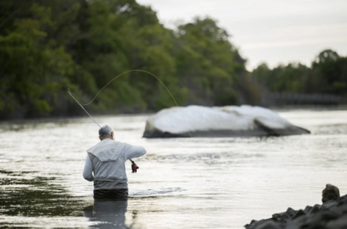 New York State Fishing License