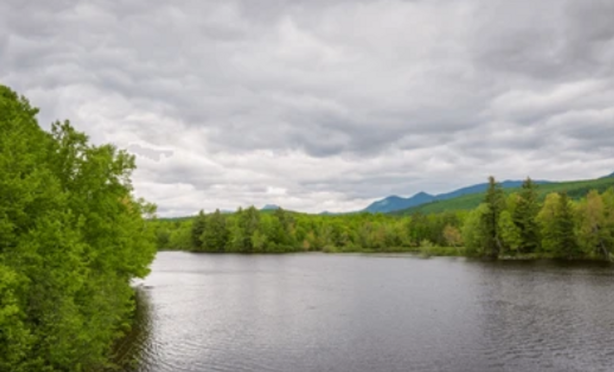 Get Your Valid Maine Hunting License