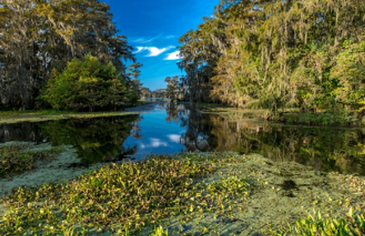 Things To Do In Lake Martin 