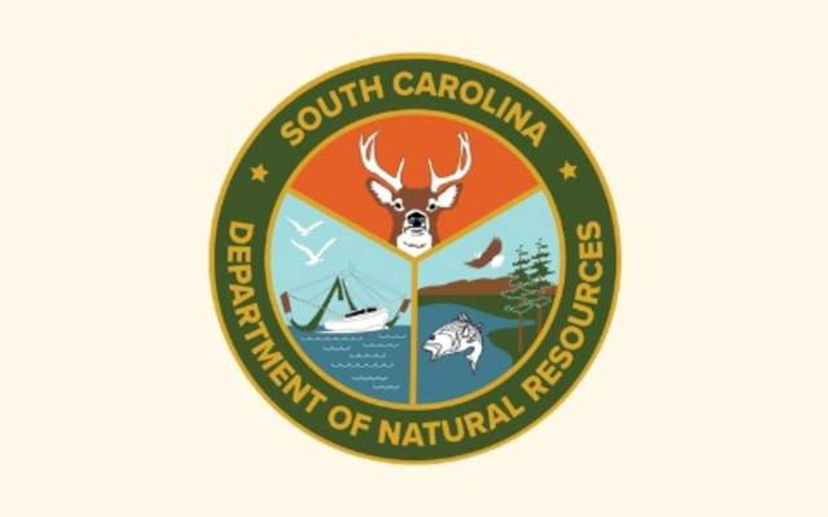 South Carolina Fishing License