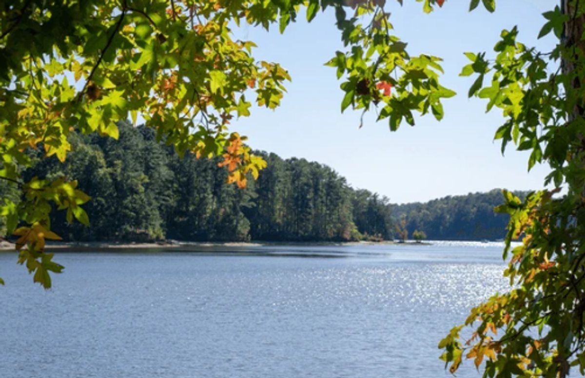 Things To Do In Lake Allatoona 