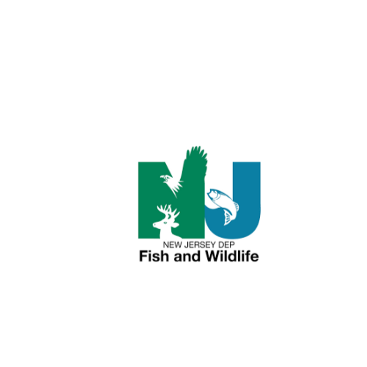 New Jersey Fishing Fish and Wildlife Department