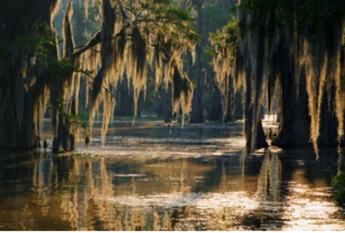 Get Your Valid Louisiana Hutting License 