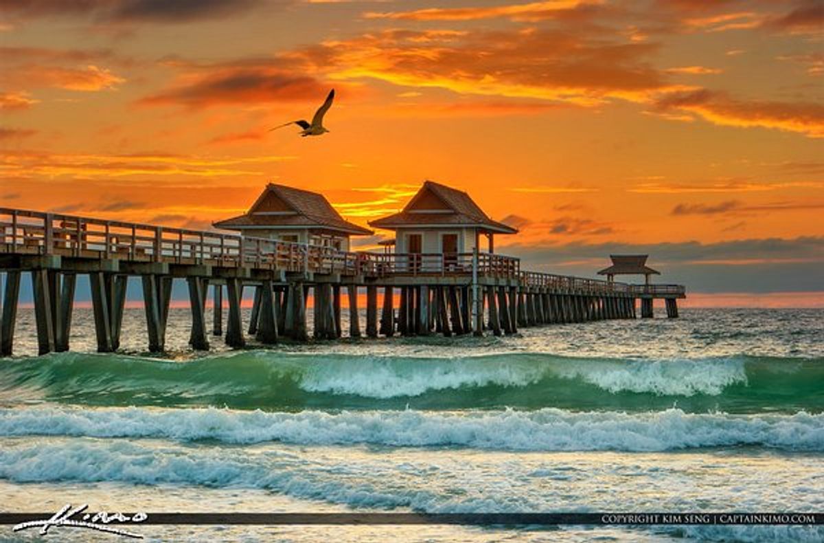 Things To Do In Naples FL