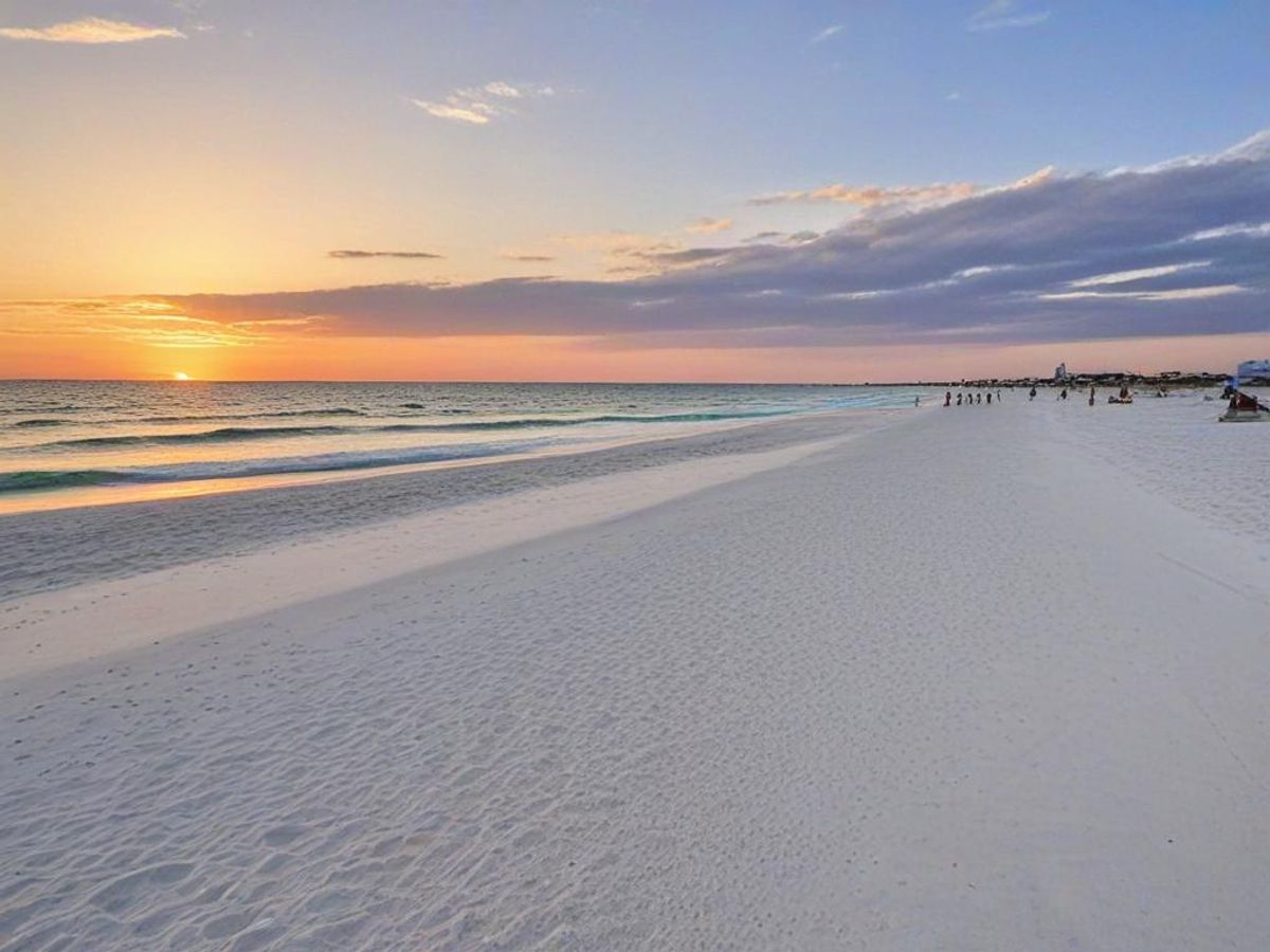 Things To Do in Pensacola FL