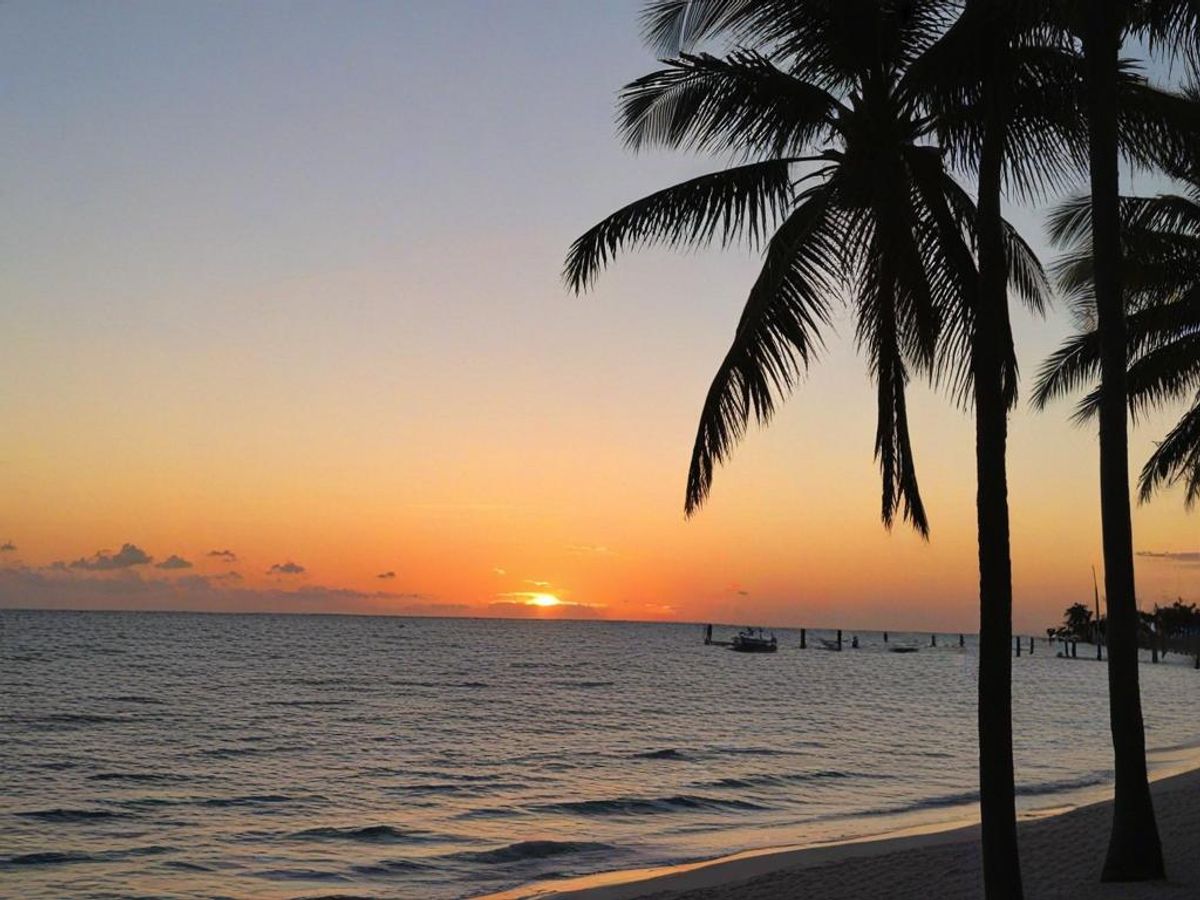 Things To Do in Fort Lauderdale