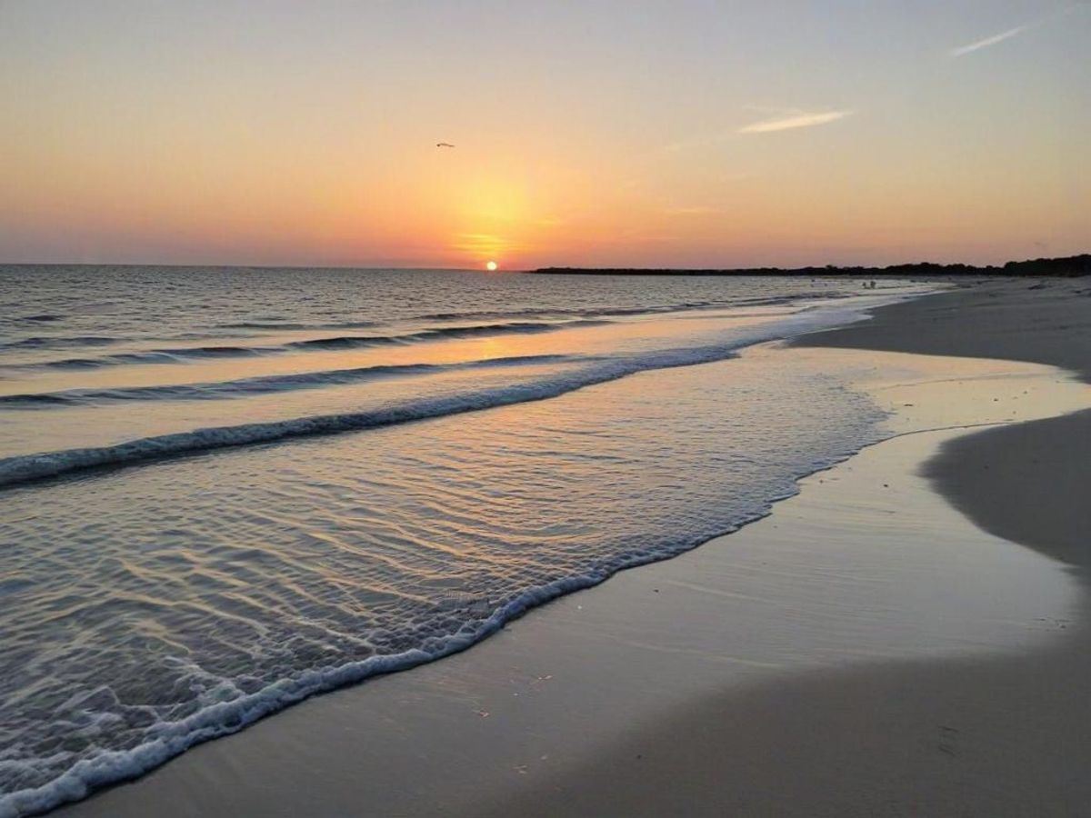 Things To Do in St George Island